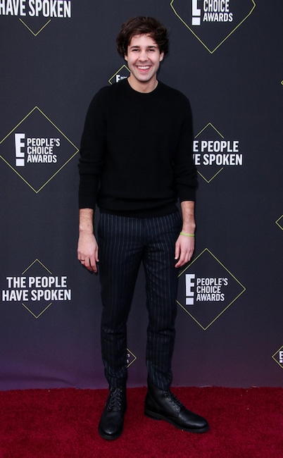 David Dobrik, 2019 E! People's Choice Awards, moda en la alfombra roja